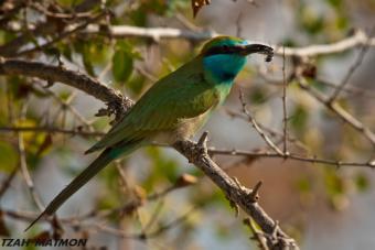   -200     -18 (2).jpg