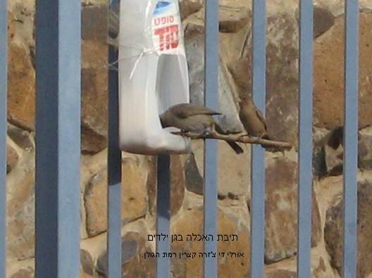 מתקן האכלה מפלסטיק