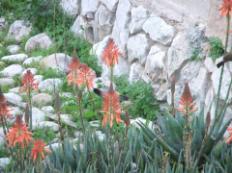 DSCF2394������ ���� ������ ����� ���� ����