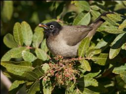 IMG_6073������ ���� ������ ���� ��� ���� ���� ����