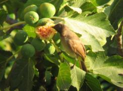 ������ ����� ���� ���� ����