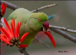 ���� ����� ������ ���� ���� ����