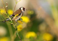 ����� ����� ����� ���� ���� ��� ���������