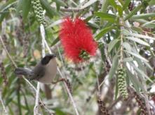 ����  ��������� ����