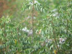 ���� ���� ��� ��  ��� �� ���� ���� ����