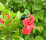 ����� �� �������� ����� ���1