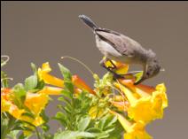 ����� ���� �� ��� ����