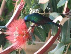 ����� ���� ��� �� ��� ������� ����� ���� ����������