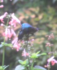 ����� �� ���� ����� ������������