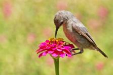 ����� ����� ��� ����� ���� ��� ���������