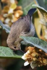 ����� ���� ���� ��� ���� ��� ���������