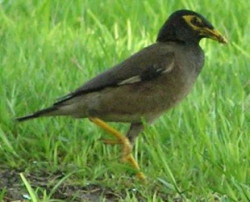 IMAGE027.JPG